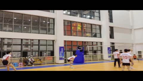 本站按公开材料组织页面