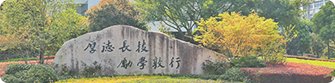 避免被站外镜像带偏